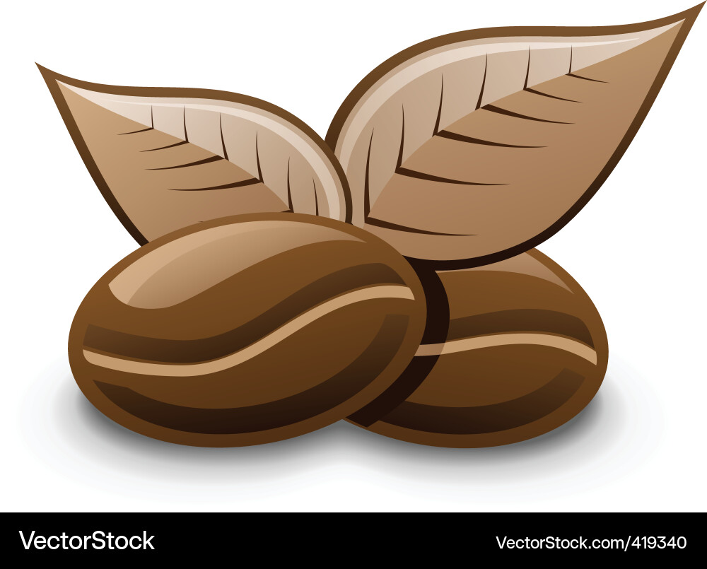 Coffee bean Royalty Free Vector Image - VectorStock