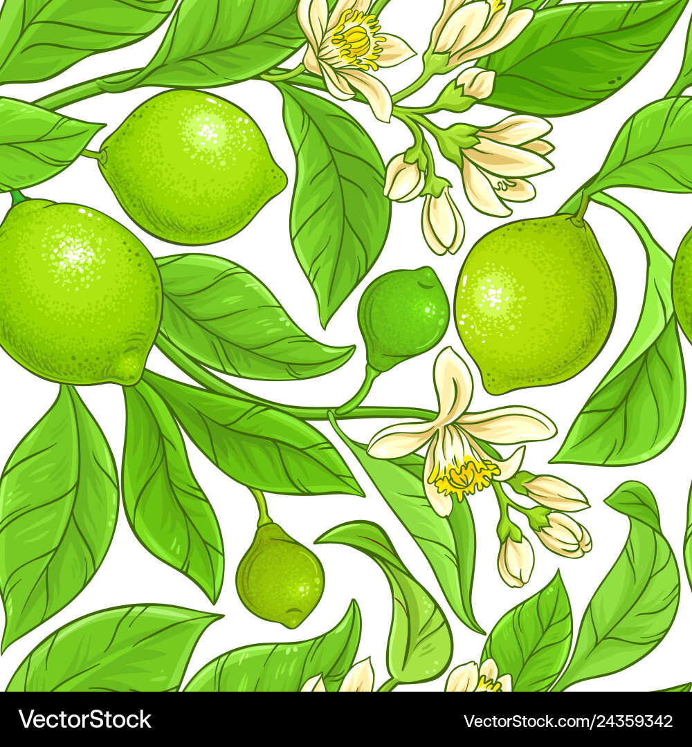 Lime Branch Pattern vector image