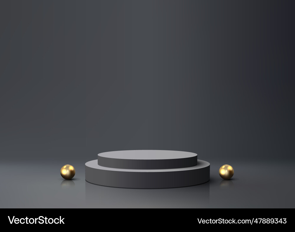 3d realistic black and gray podium with golden 3d realistic black and gray podium with golden vector image