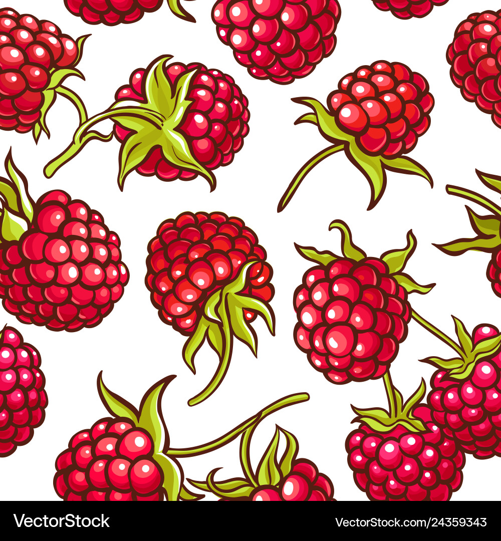 Raspberry Berry Pattern - Seamless vector image