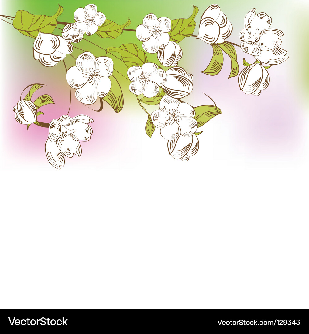 Spring tree branch Vector Image