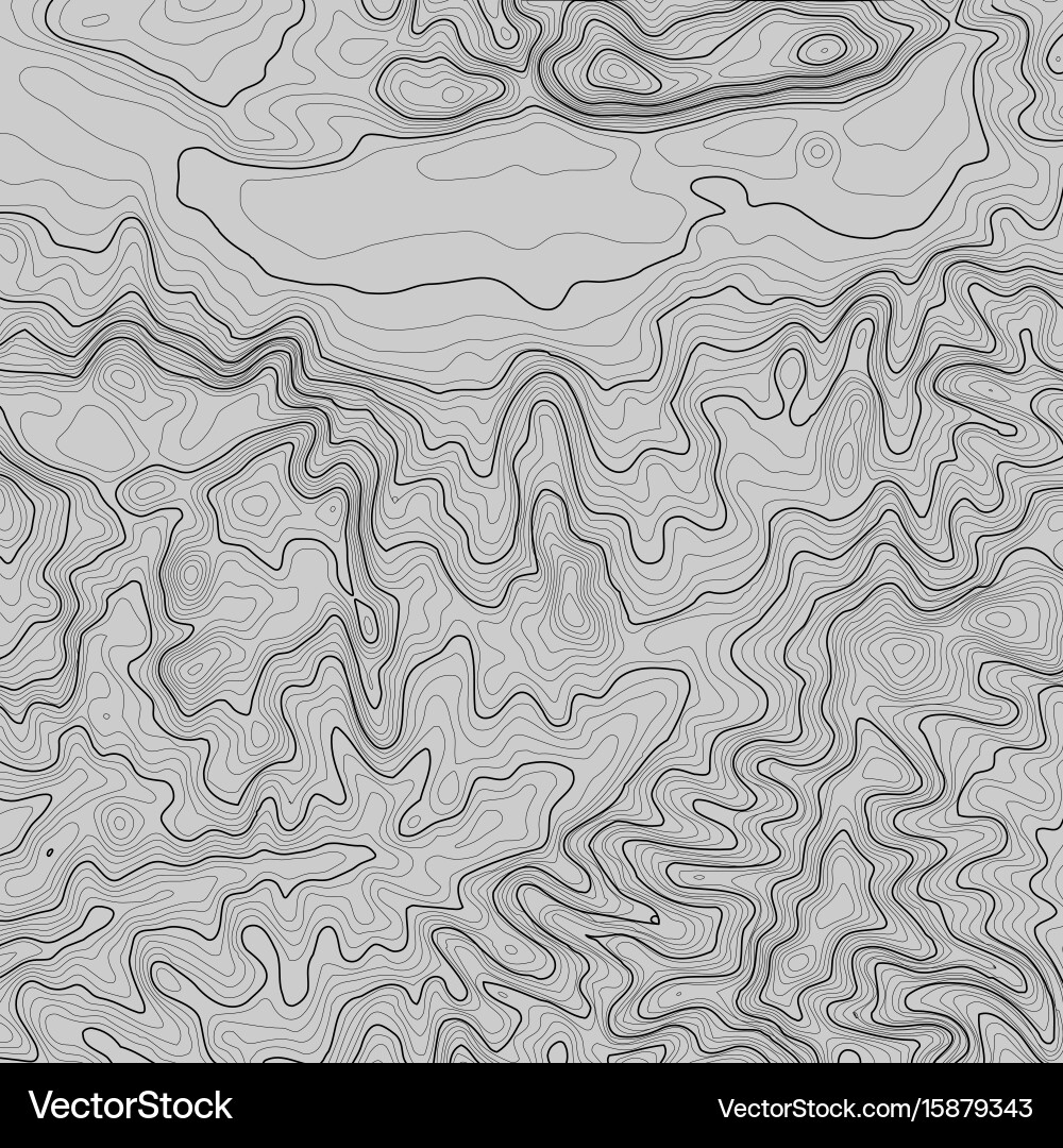 Topographic map background with space for copy Vector Image