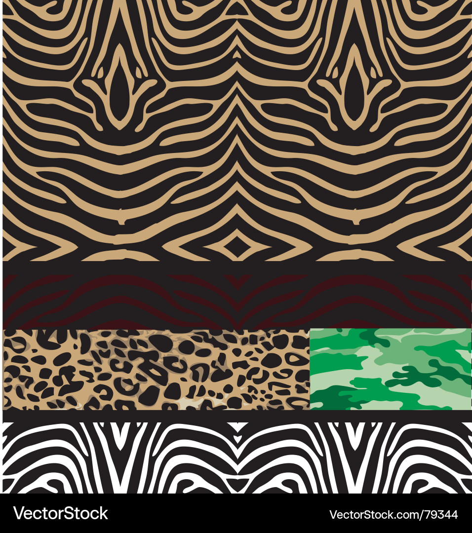Zebra Pattern vector image