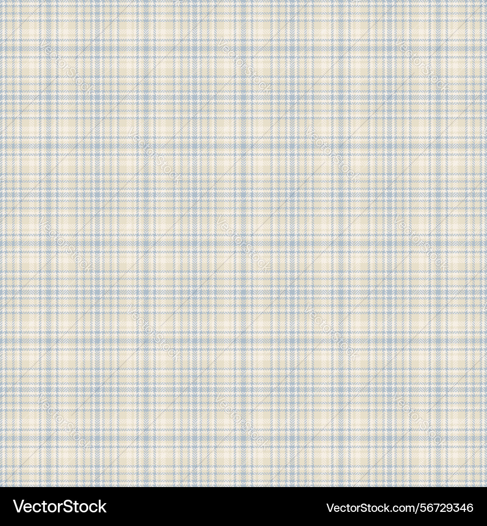 Classic plaid pattern with a soft neutral color Classic plaid pattern with a soft neutral color Vector Image