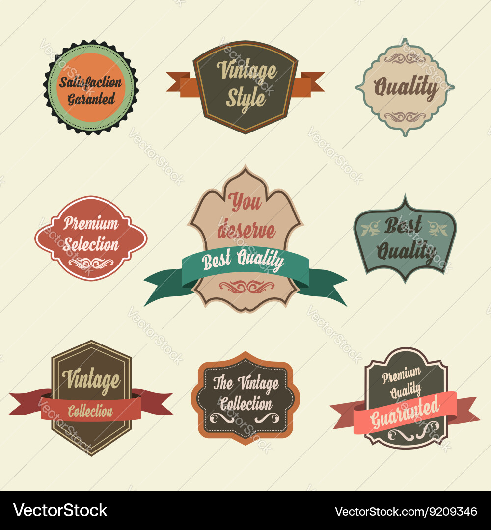 Set of retro vintage badges and labels pin badge Vector Image