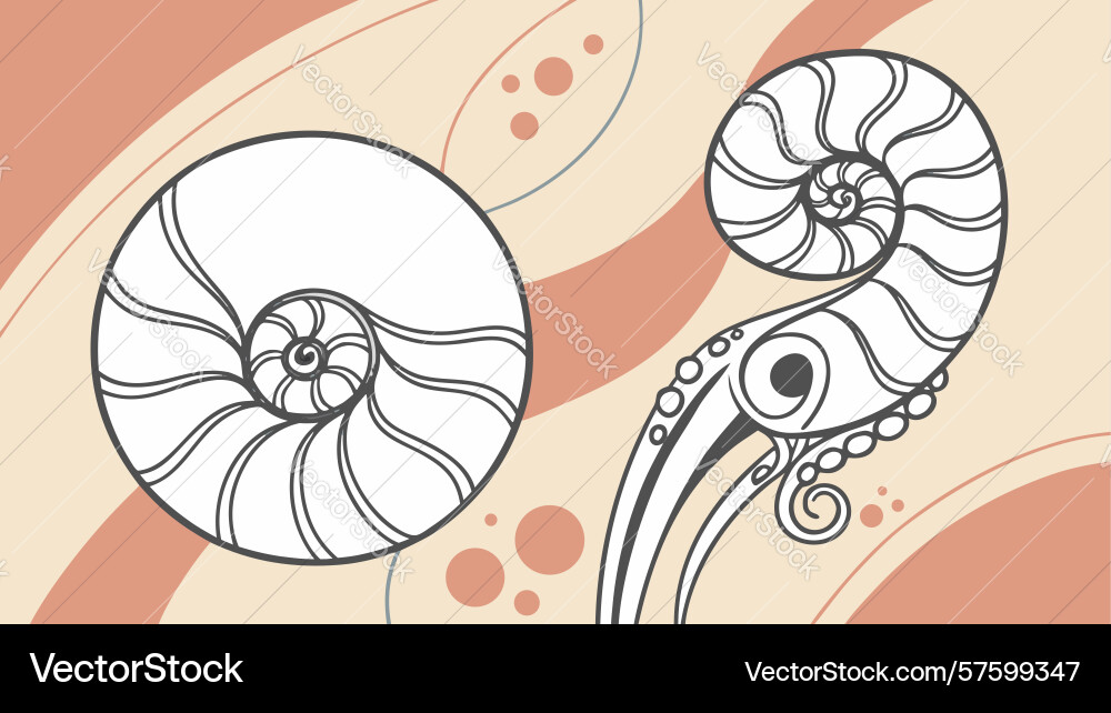 Ammonite fossil shell on abstract waves ancient vector image