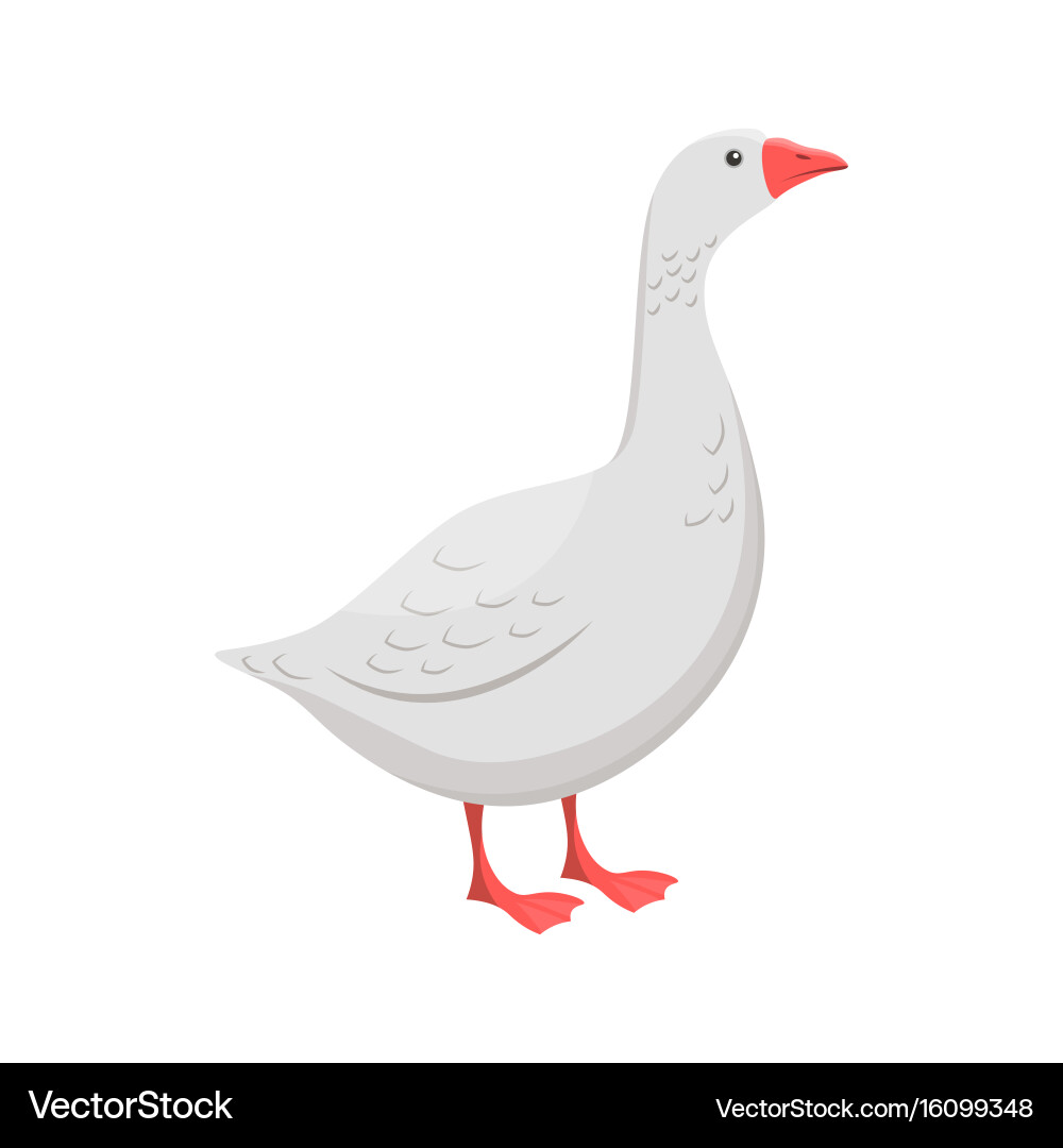 A goose Royalty Free Vector Image - VectorStock