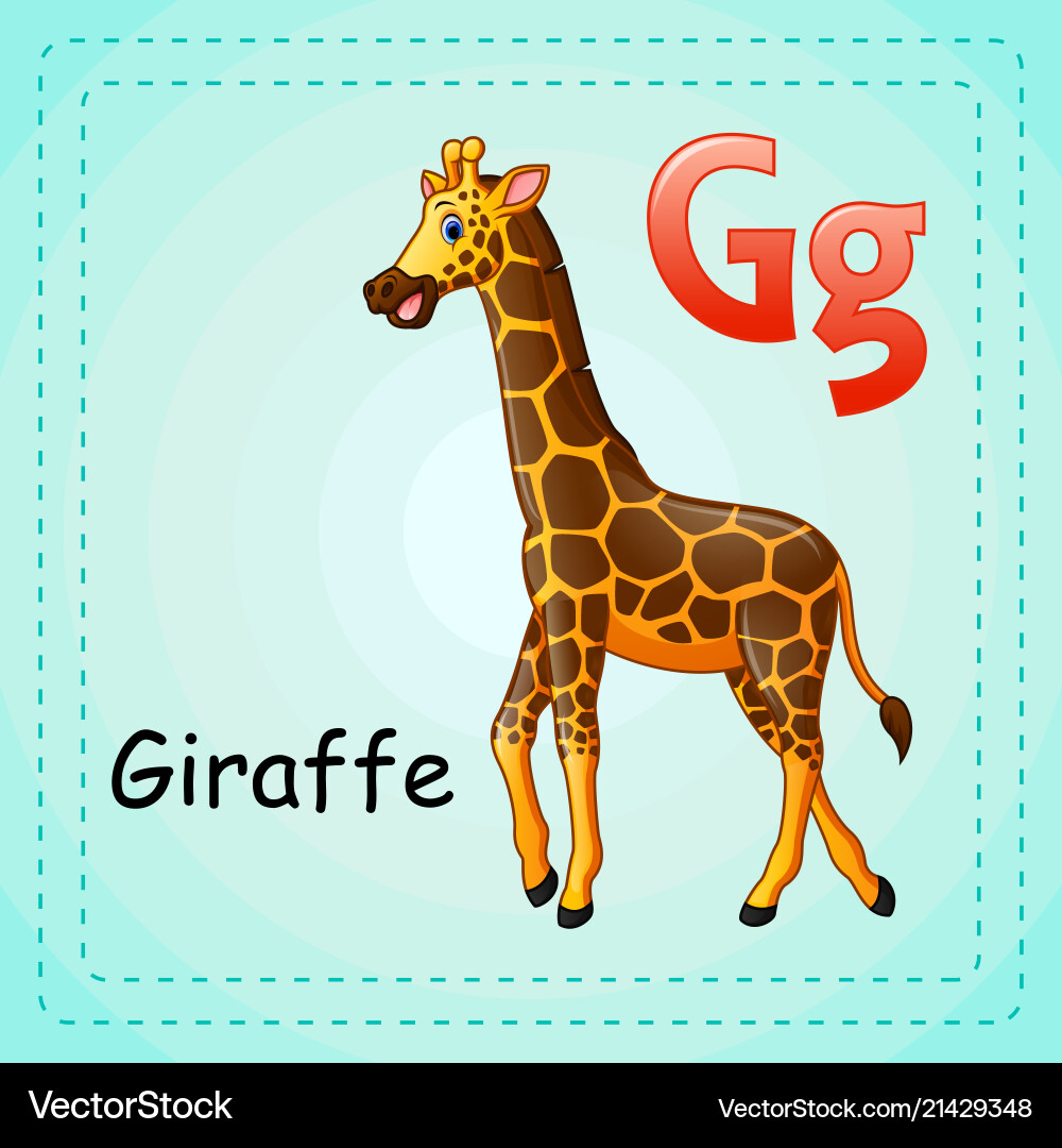 Animals alphabet g is for giraffe vector image