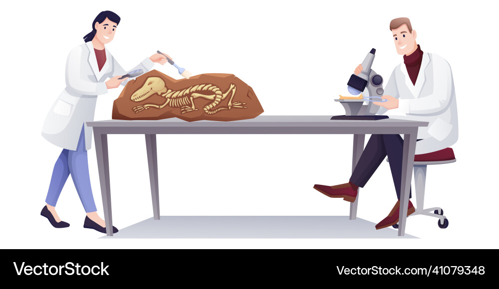 Paleontologists doing research with fossils in lab Paleontologists doing research with fossils in lab vector image