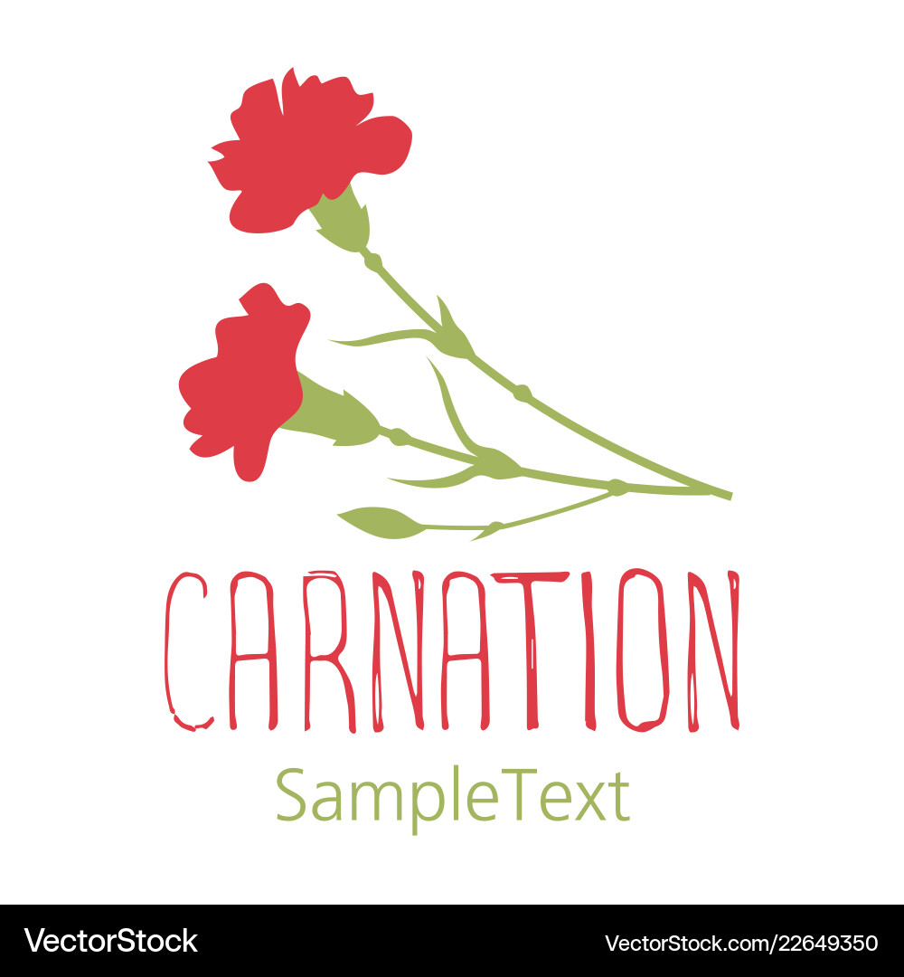 Carnation flowers logo design text hand drawn Carnation flowers logo design text hand drawn vector image