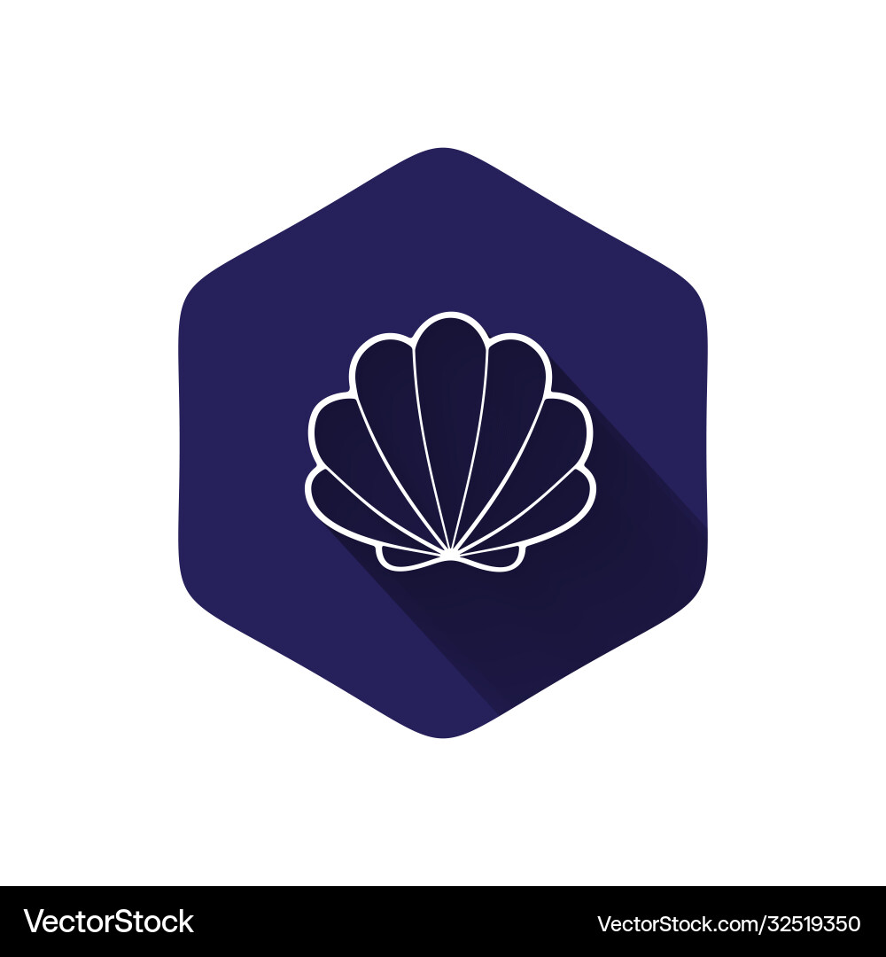 Scallop seashell Royalty Free Vector Image - VectorStock