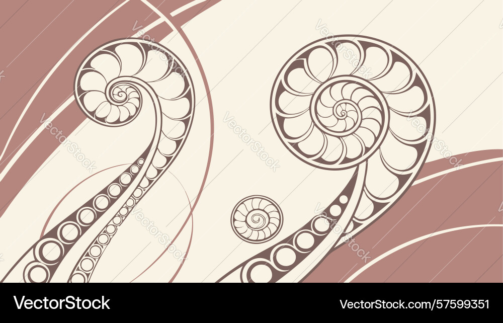 Ammonite nautilus shells with abstract swirls vector image