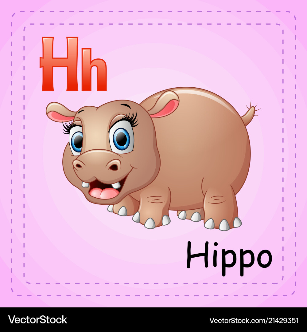 H is for Hippo H is for Hippo