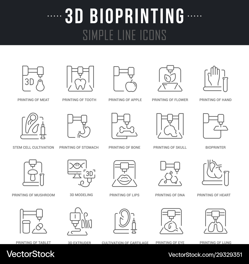 Set line icons 3d bioprinting Set line icons 3d bioprinting vector image