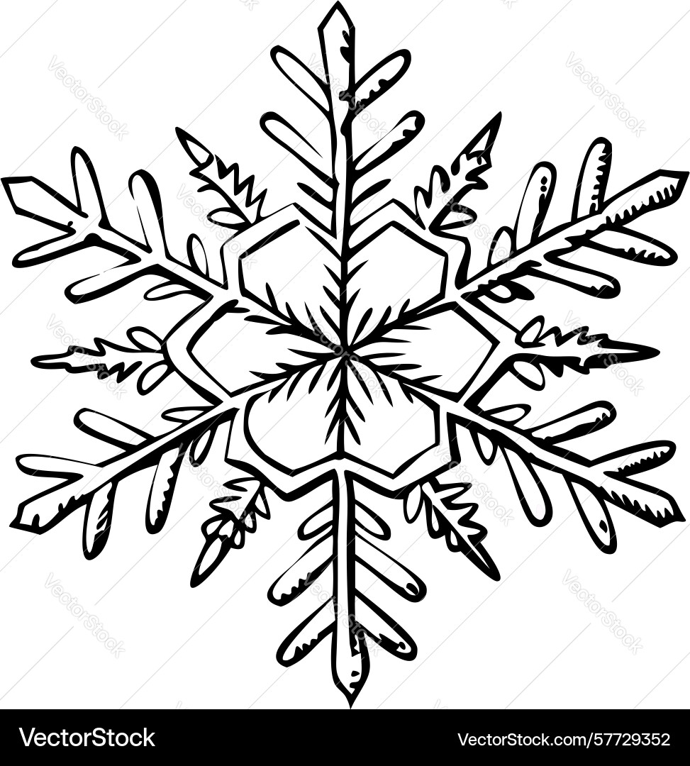Complex line art snowflake design design vector image