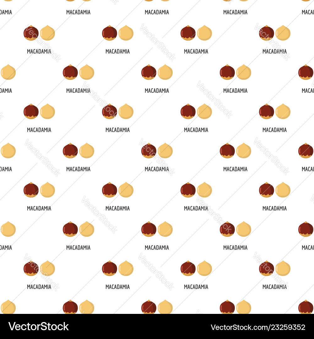 Macadamia pattern seamless Macadamia pattern seamless vector image