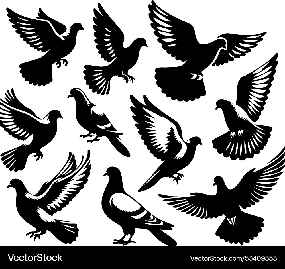 Birds icon set animal Birds icon set animal vector image