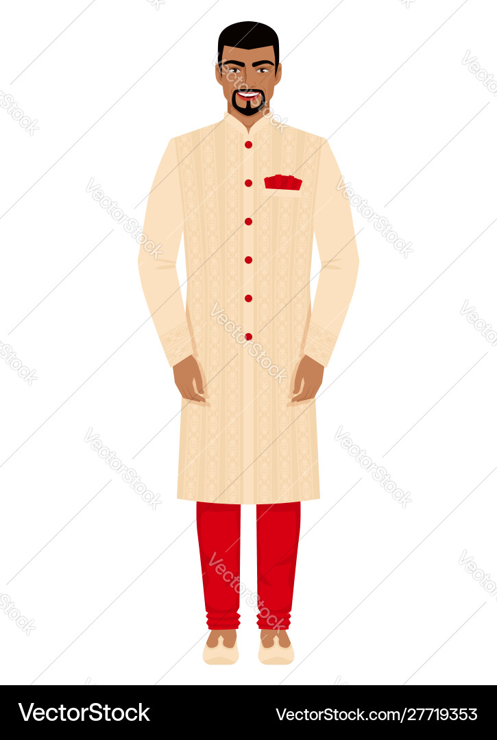 Indischer Mann in Sherwani vektorbild