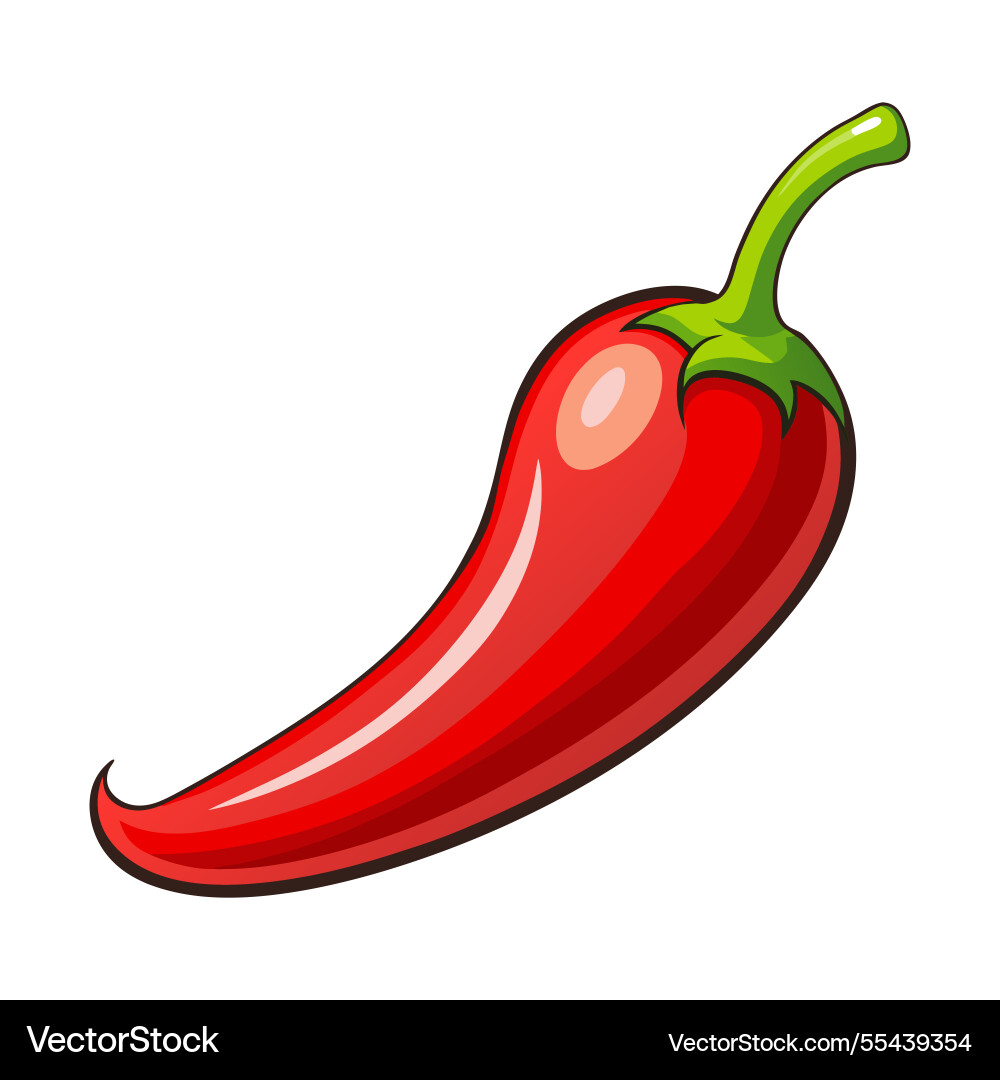 Red hot chili pepper realistic image Red hot chili pepper realistic image vector image