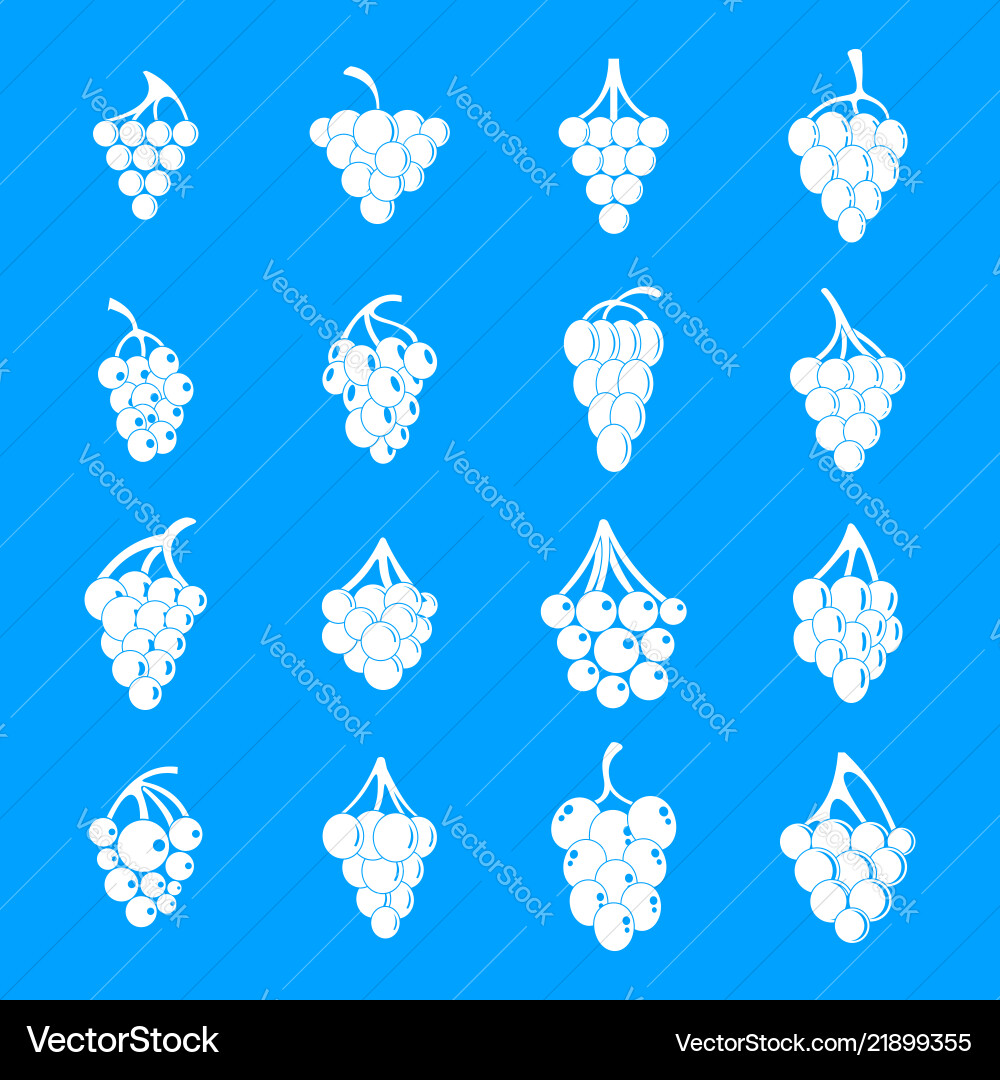 Grape wine bunch icons set simple style Vector Image