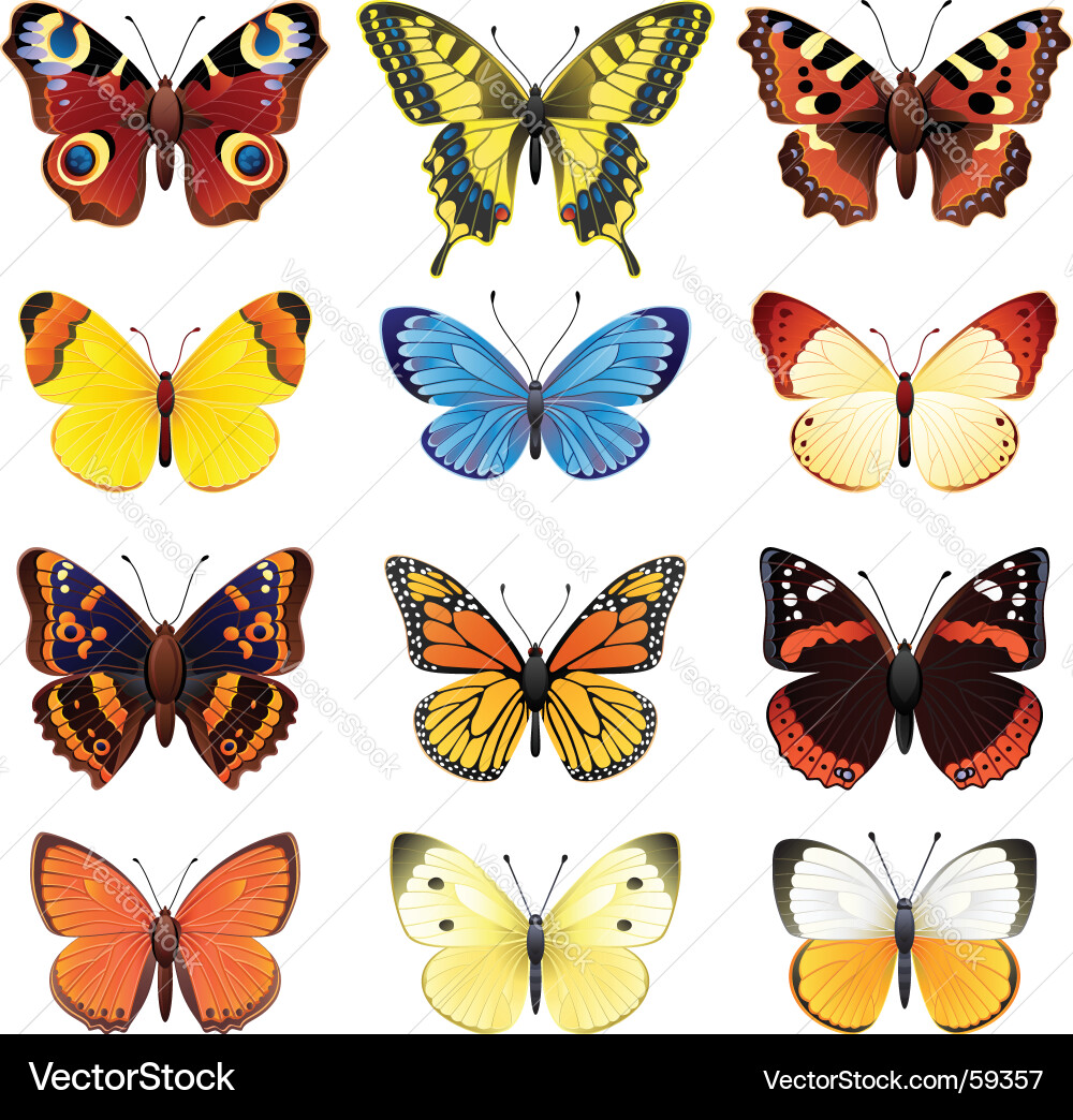 Colorful Butterfly Set vector image