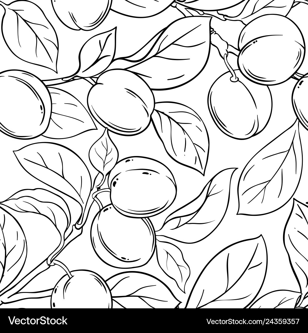 Plum branches pattern on white background Plum branches pattern on white background Vector Image