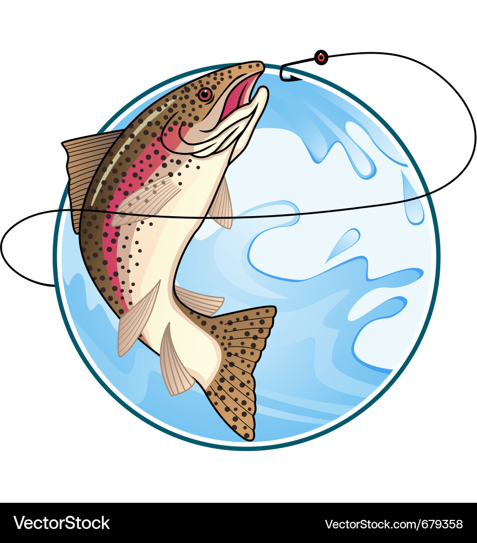 Rainbow Trout in Water vector image