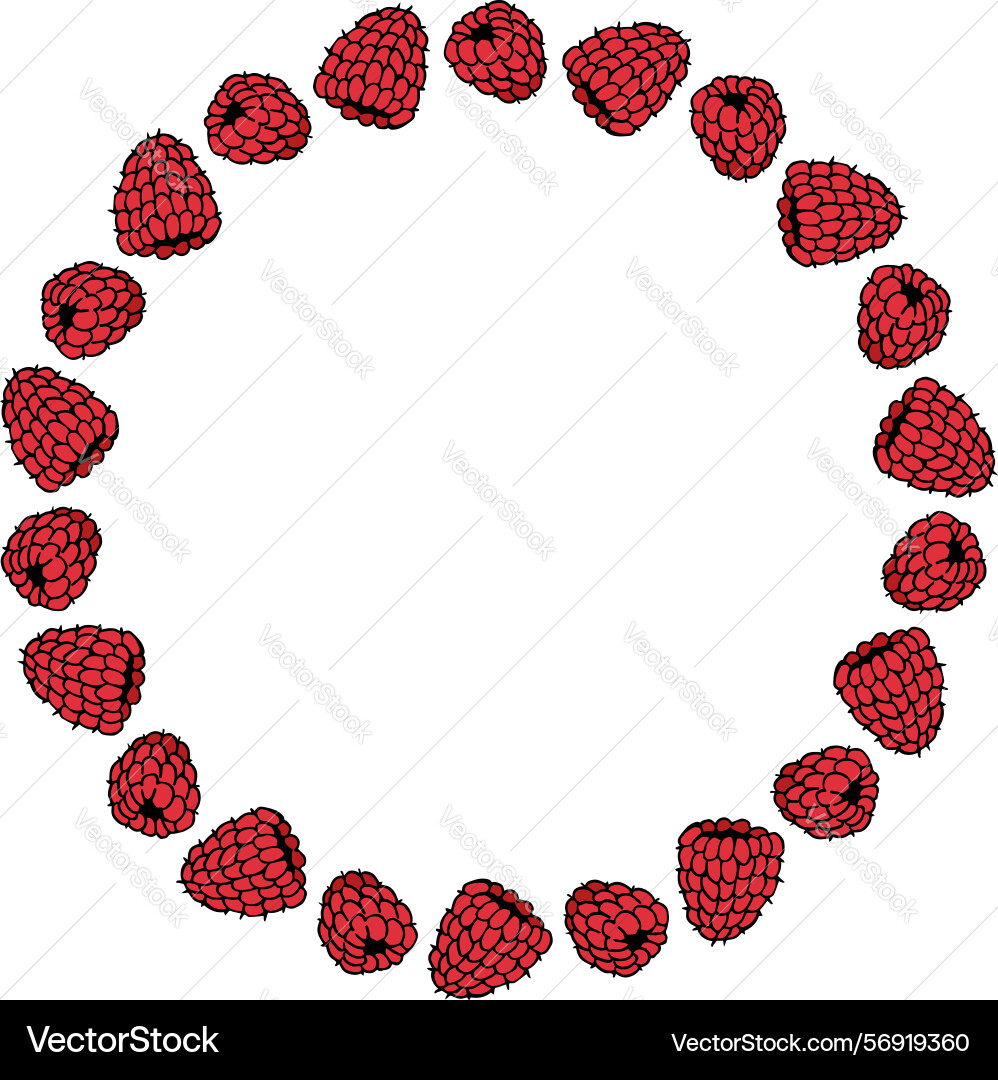 Round frames with yummy red raspberry on white Vector Image