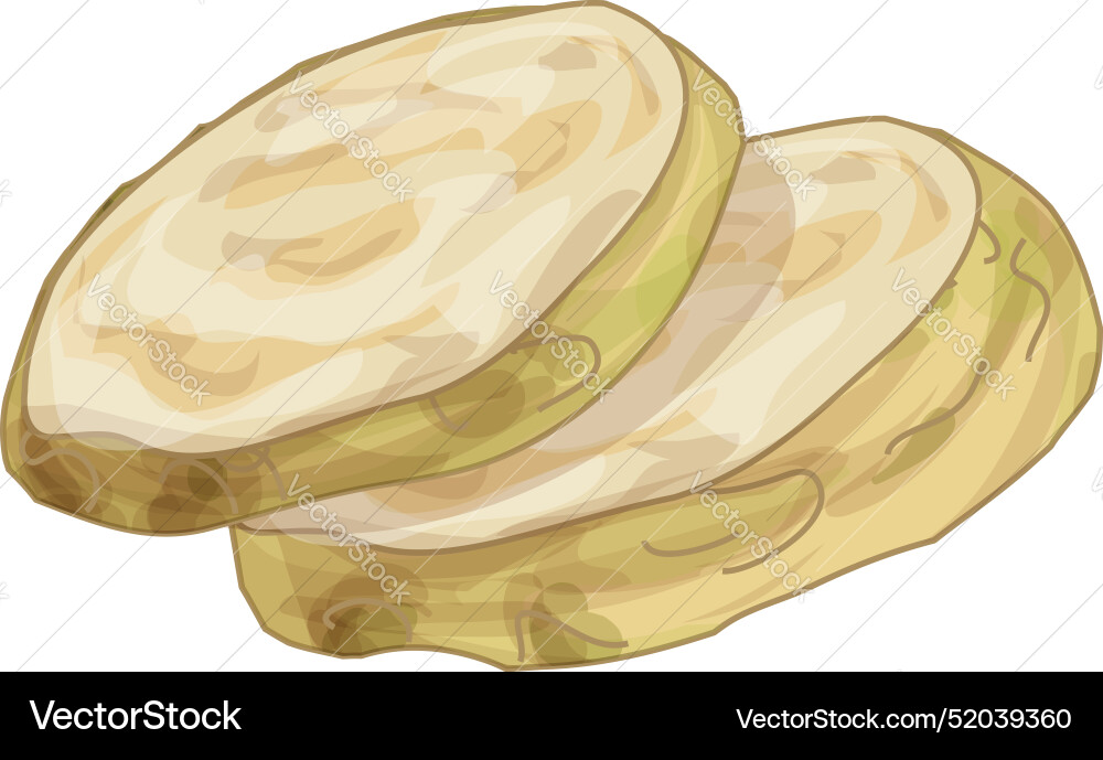 Two slices of celery root lying on top each Vector Image