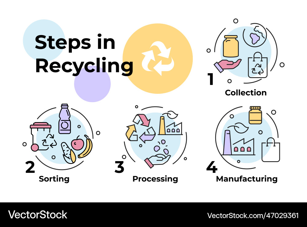 Steps in recycling process infographic scheme Vector Image