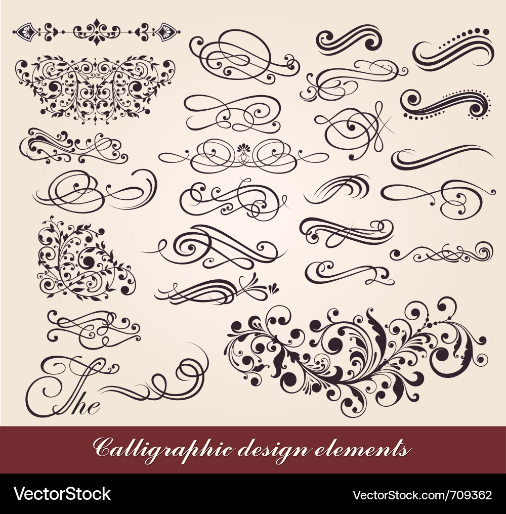 Elegant Calligraphic Elements vector image