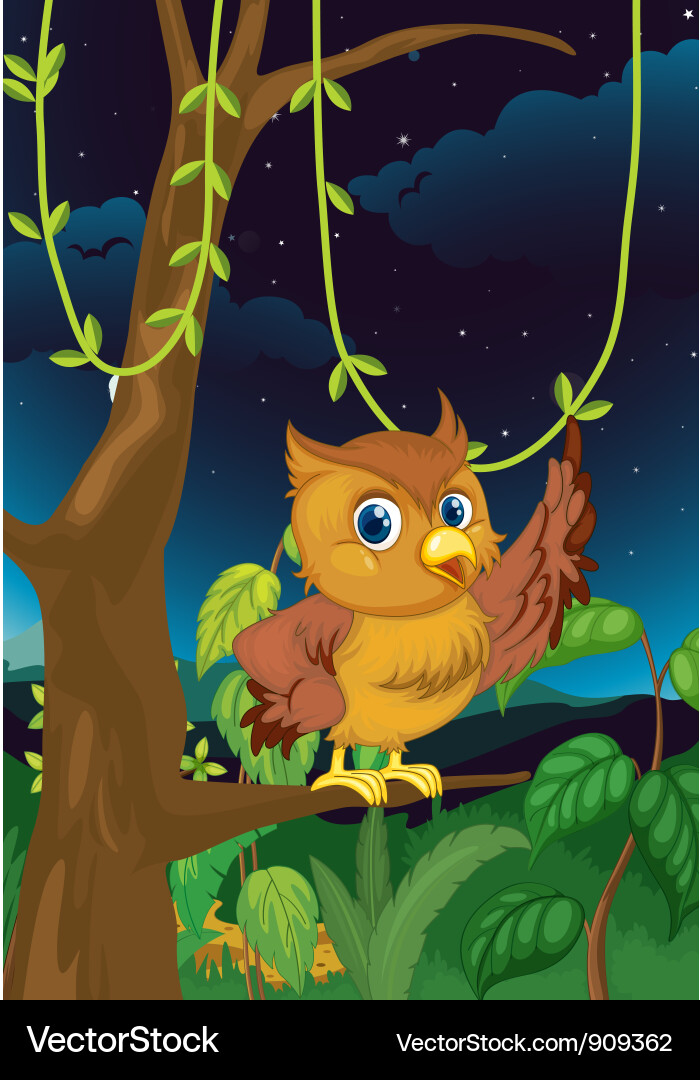Nocturnal Owl on Branch Vector Image