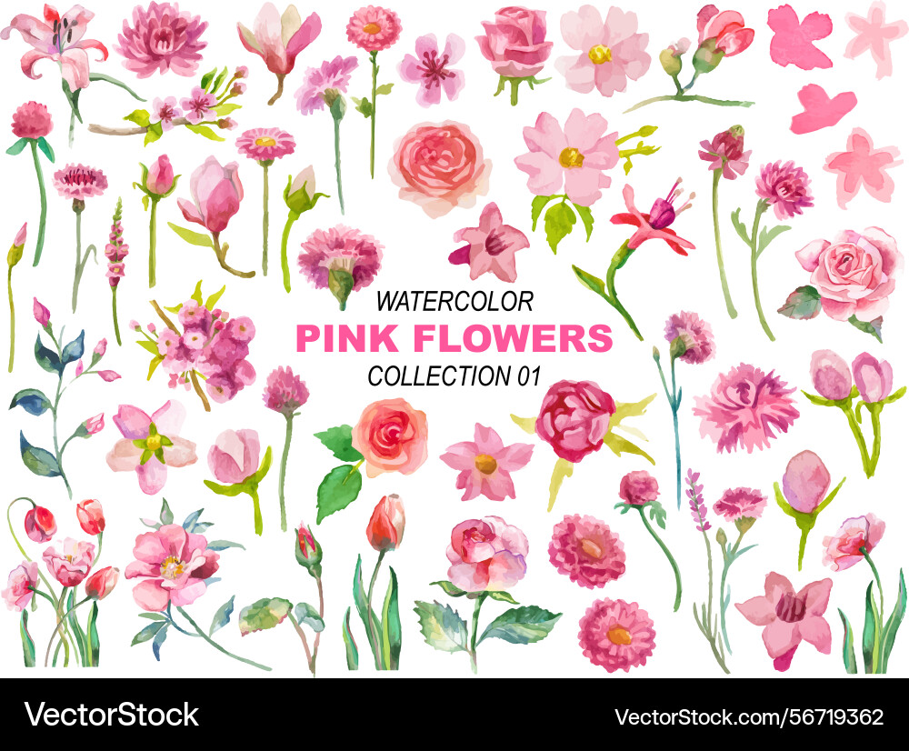 Watercolor pink flowers clipart Watercolor pink flowers clipart Vector Image