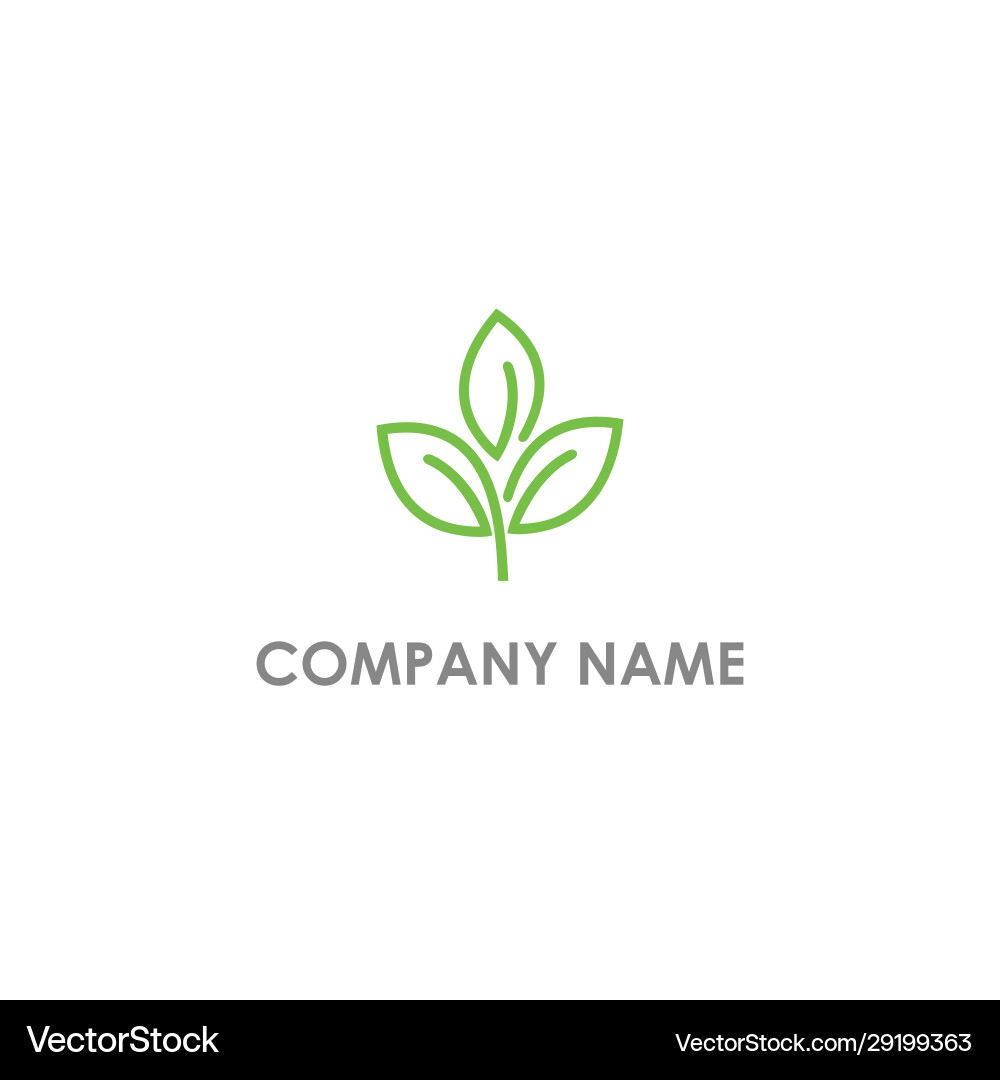 Plant leaf nature eco logo vector image