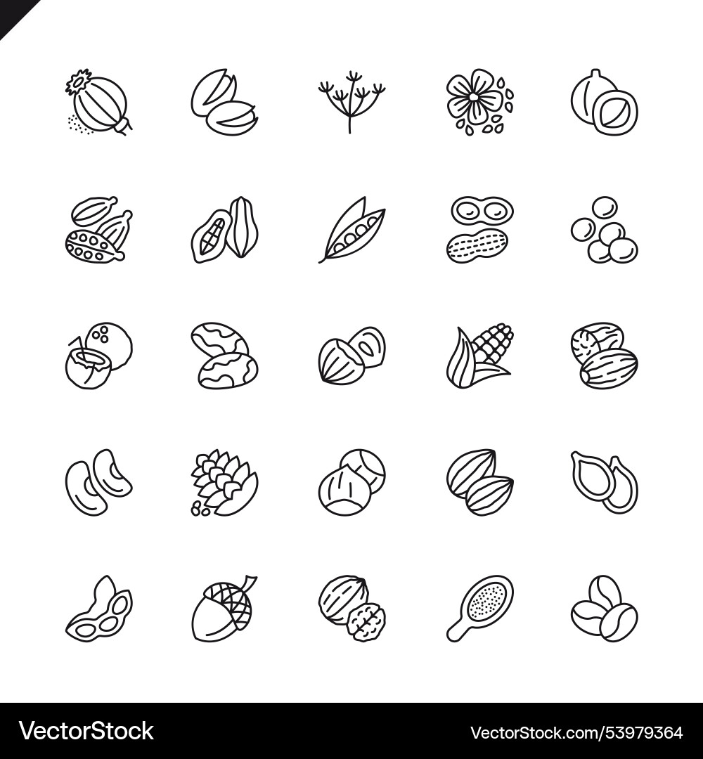 Thin line nuts seeds and beans elements icons set Thin line nuts seeds and beans elements icons set Vector Image