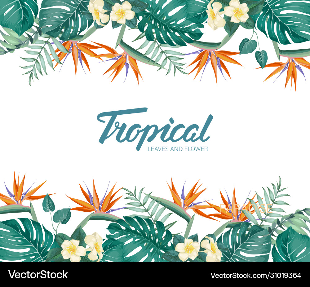 Tropical Floral Frame - Summer Vibes Vector Image