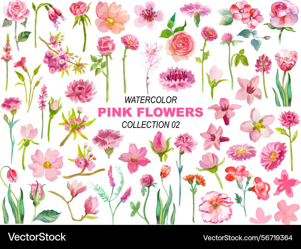 Watercolor pink flowers clipart Vector Image