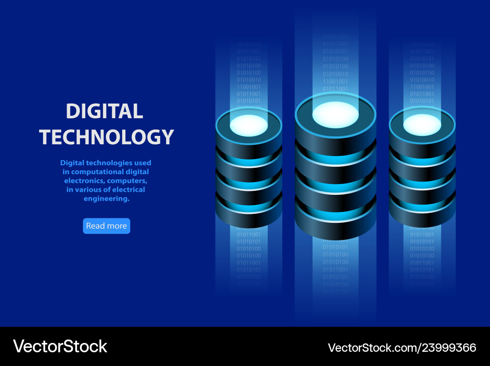 Isometric Data Storage & Hosting Network Vector Image