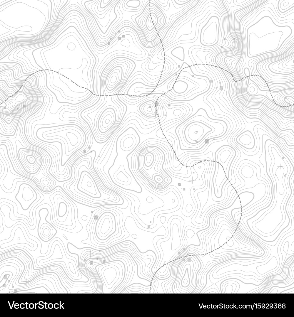 Seamless pattern topographic map background vector image