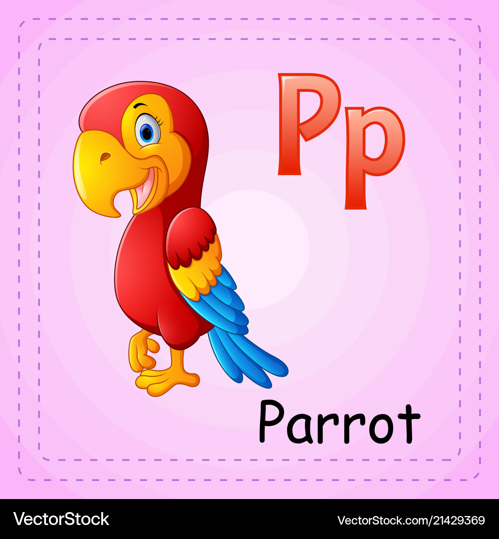 Animals alphabet p is for parrot vector image