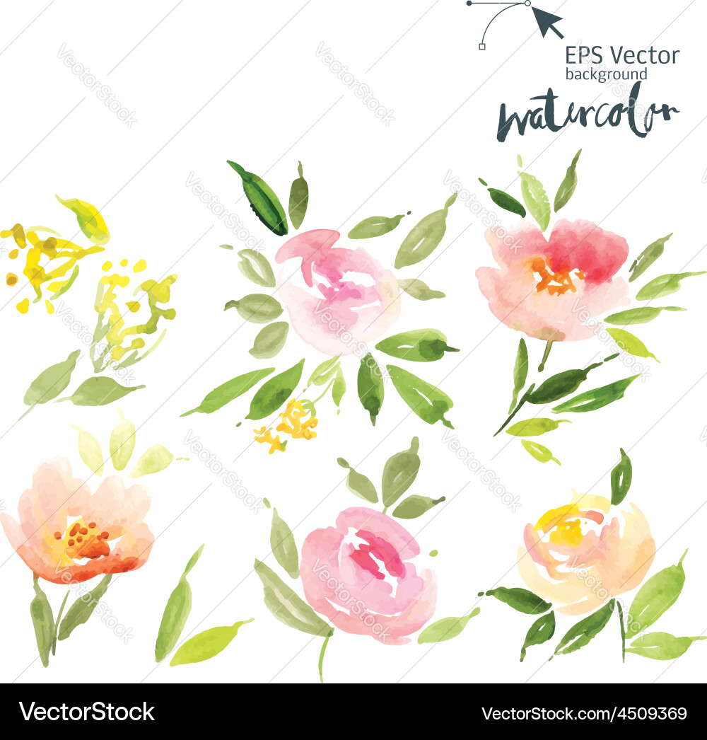Watercolor Floral Bouquet Vector Image