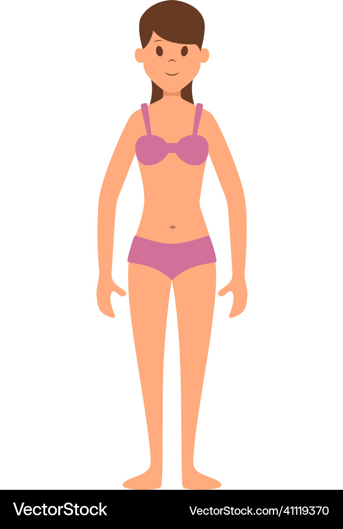 Woman figure front view cartoon female model Woman figure front view cartoon female model vector image