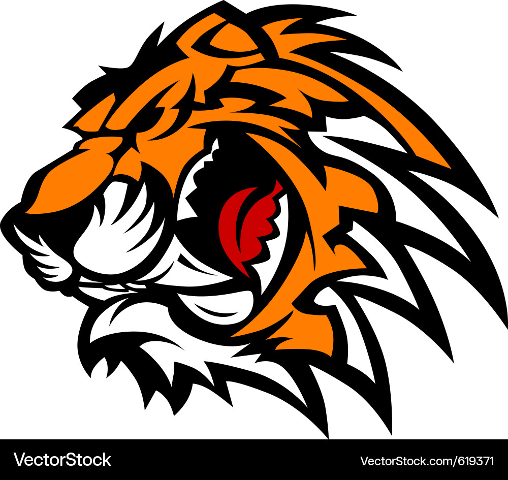 Tiger Head Mascot vector image