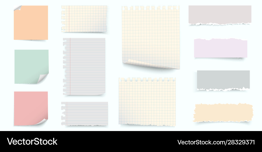 Torn Paper Sheets & Rips vector image