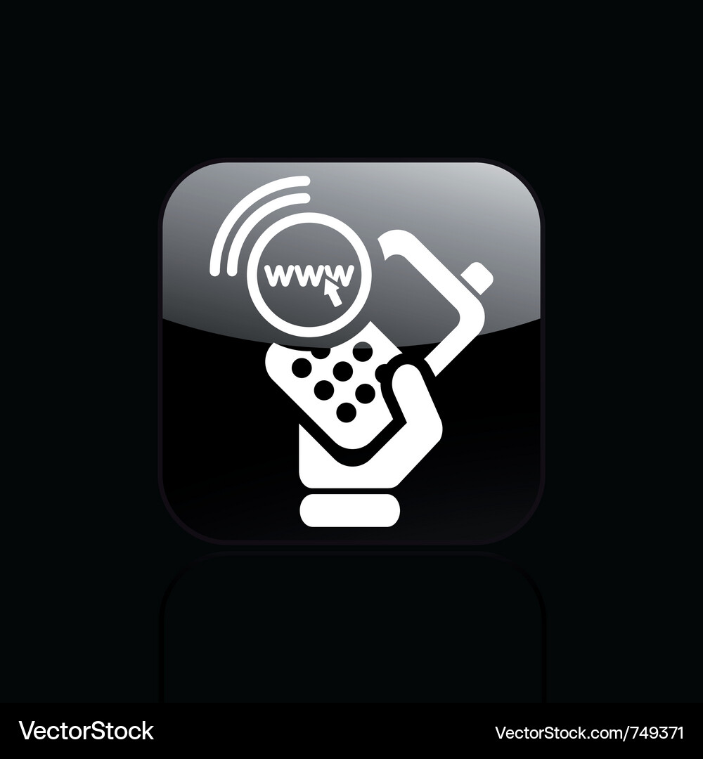Wireless Connection Icon Vector Image
