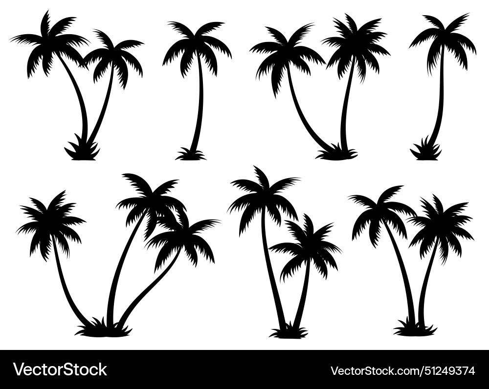 Palm Tree Silhouettes - Tropical Set Vector Image