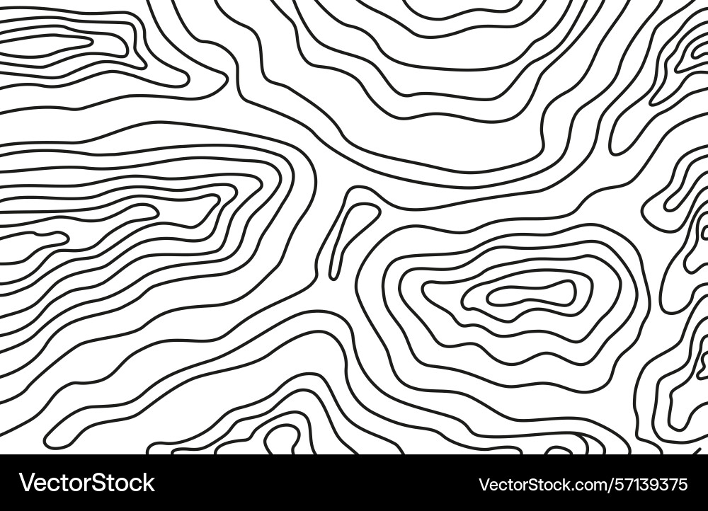 Abstract topographic map different curved lines Abstract topographic map different curved lines vector image