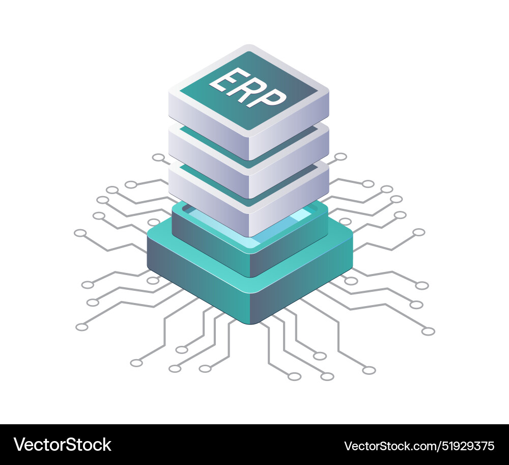 Erp database server solutions for business growth Vector Image