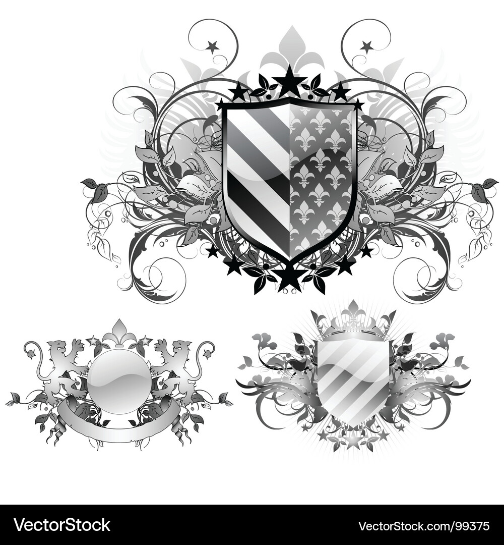 Medieval Shield Collection Vector Image