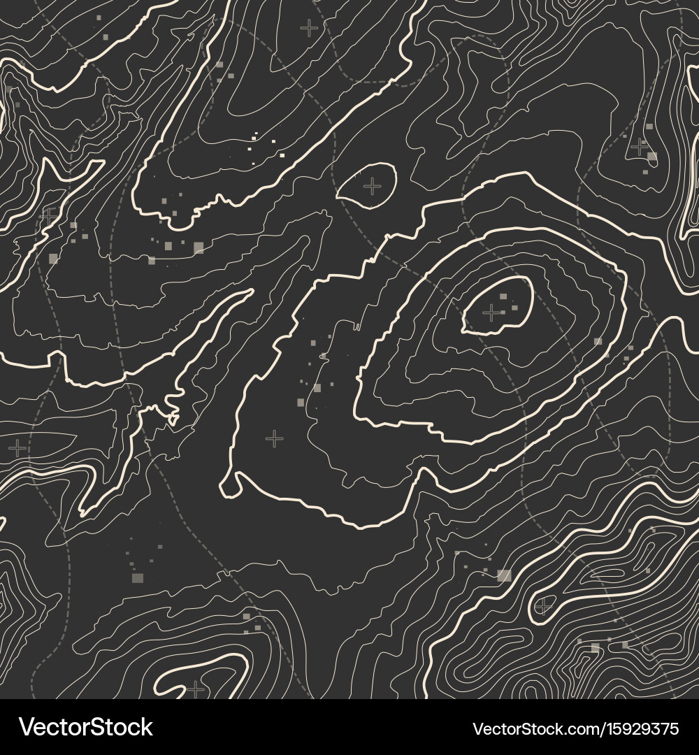 Seamless pattern topographic map background vector image